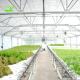 Optimal Aquaponics Hydroponic System Greenhouse with Single Layer and 3.0-4.5m Height