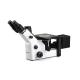 Inverted Trinocular Metallurgical Microscope Wide Field Eyepiece