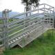 Hot Dipped Galvanized Sheep Loading Ramp Plans Livestock Handling Equipment