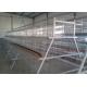 3 Tier 4 Doors A Frame Layer Cages / Q235 Chicken Battery Cage