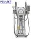 4 Handles Non Surgical Fat Freezing Machine For Loss Weight 12 Month Warranty