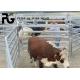 PVC Coated Animals Steel Cattle Yard Panels Round Tube Welded