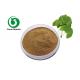 Health Care Ginkgo Biloba Extract Powder Pharmaceutical Grade Flavone 24% Lactones 6%