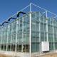 Venlo Type Glass Greenhouse Customization with External Shading System