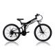 30 - 50Km/h Electric Folding Bike 48V 10.4AH Battery 250W - 350W CE Certificated