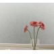 4mm Frosted Heat Strengthened Tempered Glass Panels For Window Frame
