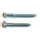 Grade 4.8 Galvanized Lag Bolts Coach Screw Hex Lag Screw