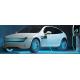 New Energy Vehicle Certification for Sustainable Transportation