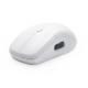 Modern Design 2.4G Wireless Mouse 4 Button Low Power Consumption MW115