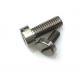 Cheese Slotted Head Self Tapping Screws Stainless Steel Machine Screws Passivation Surface