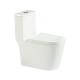 Bowl One Piece Water Closet  Jet Siphonic Flushing Compact Elongated Toilet