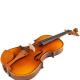 China high gloss cheap student violin for sale The head is made of tiger maple   [Accessories Material] Ebony