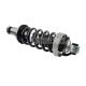 420412019AG 420412020AG Air Suspension Shock Audi R8 Front Left / Right With ADS 2006-2018