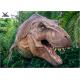 Dinosaur Yard Statue With Realistic Head Model , Dinosaur Garden Sculpture 
