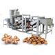 Fully Automatic Sacha Inchi Nut Shelling Machine Dehulling 200 - 300kg/H Capacity