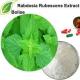 4/1 Rabdosia Rubescens Extract Pharmaceutical Health Care Products