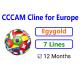 Europe 7 lines Egygold CCCam Oscam For Linux Decoder Satellite TV Receptor Cline