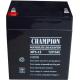 Champion AGM battery 12V5AH Lead Acid battery 12V5AH Toy battery battery