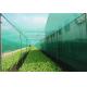 Professional Insect Mesh Netting , Durable Outdoor Mosquito Netting