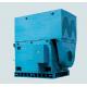 YTM / YMPS / YHP Series High Voltage Induction Motor Asynchronous Energy Saving