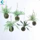 Customized Artificial Fern Plants , 8cm Hanging Ball Type Fake Staghorn Fern