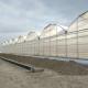 3mm 4mm 16mm 10mm Hollow Galvanized Polycarbonate Greenhouse With Growing System In Turkmenistan