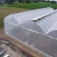 Arch Roof 10.8m PC Sheet Greenhouse Flower Growing