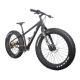 Snow Beach Carbon Mountain Bike Fat Tire Bicycles Full Carbon Fiber 26 4.8 Tires