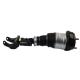 Car Front Air Shock For Mercedes Benz W166 1663201313 1663201413