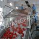 Automatic Packaging System for Tomato Paste Production Line with Customized Design