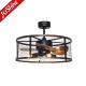 Downrod Mount Remote Control Cage Ceiling Fan 20in With Light
