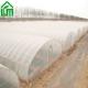 Ventilated Greenhouse Stable Structure and Sides Top Ventilation for Agriculture