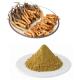 Natural Cordyceps Sinensis Extract with Polysaccharides