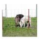 1.2m Height Livestock Hinge Joint Knot Veld Span Galvanized Wire Fence for Poultry