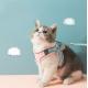ABS Adjustable Cat Harness Reflective Pet Vest Pink Comfort