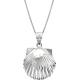 Sterling Silver High Polished Seashell Necklace Pendant with 18 Box Chain