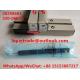 DELPHI Common Rail Injector 28258683, 320/06833 , 320-06833 , 32006833 for JCB Excavator