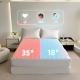 OEM Dual Zones Control Bed And Blanket Cooling System Warm And Safe Pod Bed Pad For Winter And Summer Mattress Topper