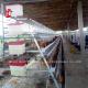 3.5mm 3 Tiers 4 Tiers Poultry Battery Cage System 20 Years Lifespan In Nigeria Ada