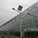 Multi Span Venlo Glass Greenhouse With Seedbed Hydroponic For Tomato Strawberry