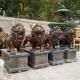 Brass Bronze Roaring Lion Statue Life Size Metal Animal Sculpture Garden Outdoor Spot Goods