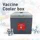 Eco Friendly Vaccine Cooler Box For Sustainable Vaccine Distribution