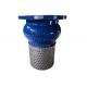PN16 PN10 Cast Ductile Iron Foot Check Valve With Stainless Steel Screen