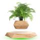new hotsale magnetic levitation floating bottom air bonsai plant tree flowerpot