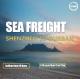 3 Shifts / Week Worldwide Sea Freight From Shenzhen To Durban South Africa Direct Sailing