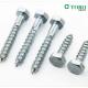 Hexagon Head Self Tapping Screw DIN571 Zincing External Hex Head Cap Tapping Wood Screws Full Thread Lag Screw