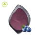 ISO Wild Blueberry Extract Powder Bulk Fruit Flavor Blueberry Powder