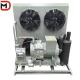Customizable Cold Room Condensing Unit with 380V/ 3p/ 50Hz Voltage