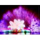Stainless Steel Digital Fountain Movie Show Nozzle Jet