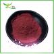 Wholesale Bulk Soluble Cranberry Extract Powder Anthocyanin 25% OPC Powder